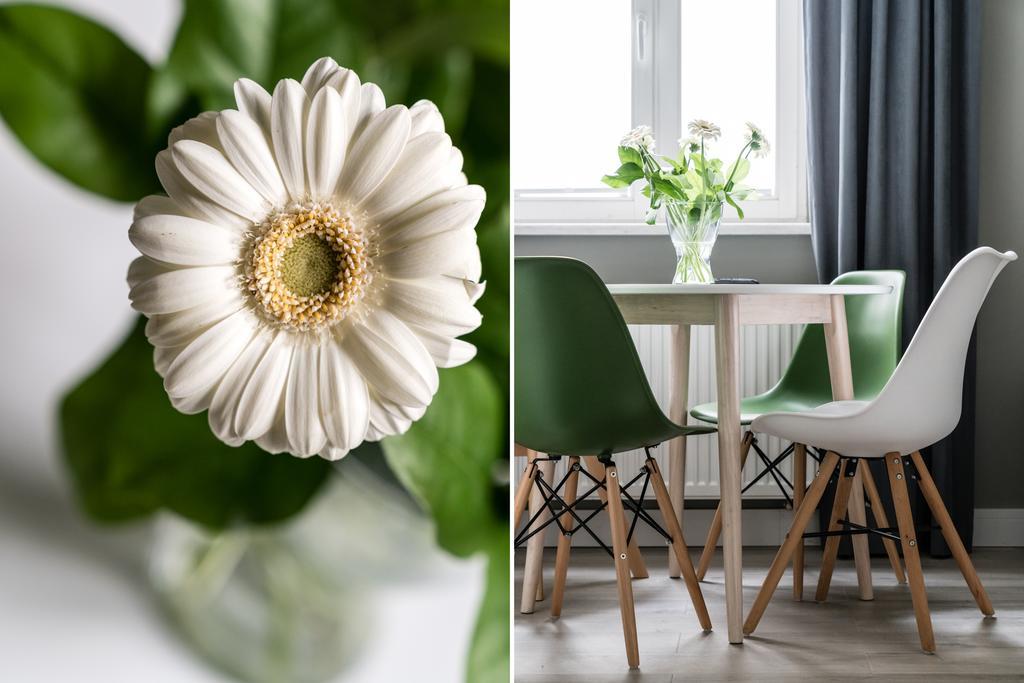 Sanhaus Apartments - Chopina 13 - Apartamenty W Centrum, 5 Minut Od Plazy I Deptaka Sopot Kültér fotó